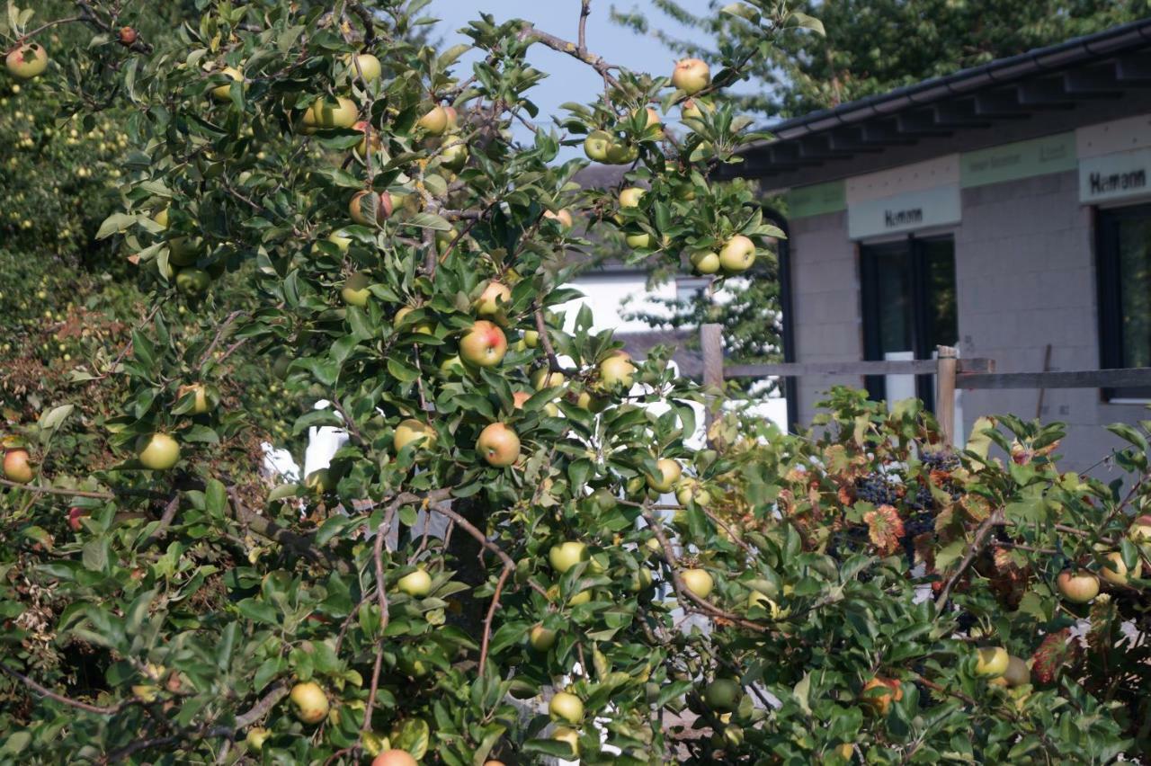 Am Apfelbaum Andernach